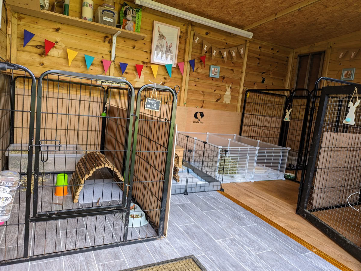 Indoor small-animal boarding accommodation